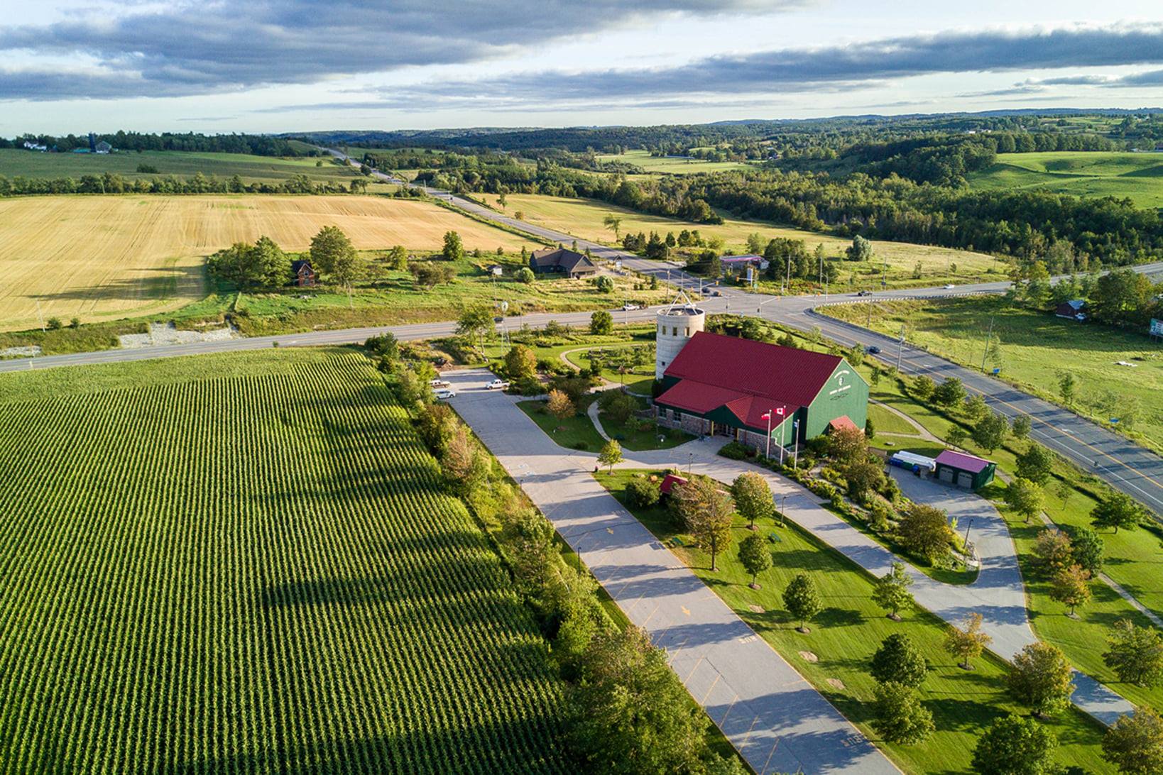 Aerial view of rolling Ontario farmland, with cropped fields either side of a rural highway